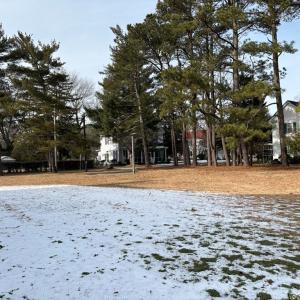 Photo #6 of 91 MARKET ST, ONANCOCK, VA 0.9 acres
