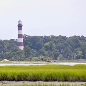 Photo #47 of 7622 EAST SIDE RD, CHINCOTEAGUE, VA
