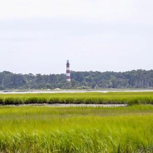Photo #48 of 7622 EAST SIDE RD, CHINCOTEAGUE, VA