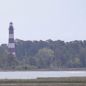 Photo #6 of 7622 EAST SIDE RD, CHINCOTEAGUE, VA