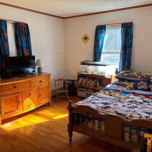 Photo #25 of 18519 BIG RD, PARKSLEY, VA 2.4 acres