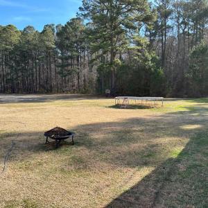 Photo #8 of 18519 BIG RD, PARKSLEY, VA 2.4 acres