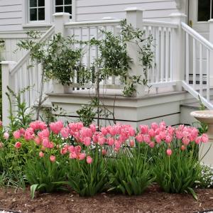 Photo #5 of 72 CREEKSIDE LN, CAPE CHARLES, VA 0.5 acres