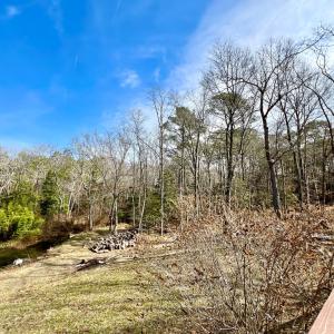 Photo #50 of 17481 MITCHELL LN, PARKSLEY, VA 1.2 acres