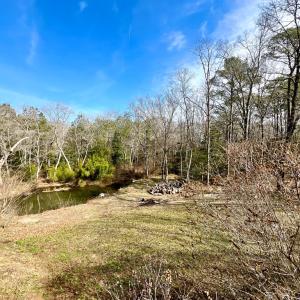 Photo #51 of 17481 MITCHELL LN, PARKSLEY, VA 1.2 acres
