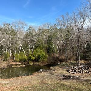 Photo #52 of 17481 MITCHELL LN, PARKSLEY, VA 1.2 acres