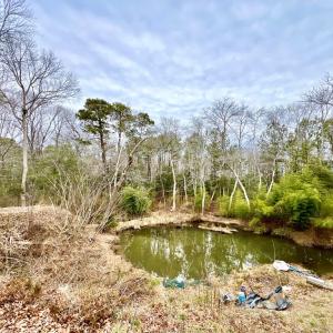 Photo #53 of 17481 MITCHELL LN, PARKSLEY, VA 1.2 acres