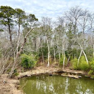 Photo #54 of 17481 MITCHELL LN, PARKSLEY, VA 1.2 acres
