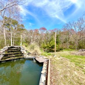 Photo #58 of 17481 MITCHELL LN, PARKSLEY, VA 1.2 acres
