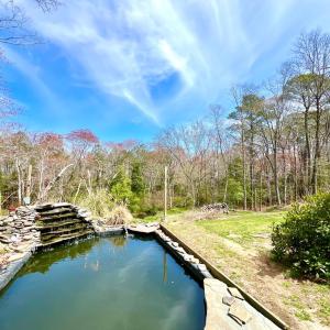 Photo #59 of 17481 MITCHELL LN, PARKSLEY, VA 1.2 acres