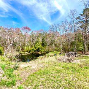 Photo #61 of 17481 MITCHELL LN, PARKSLEY, VA 1.2 acres