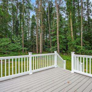 Photo #38 of 3177 AMIDSHIP DR, GREENBACKVILLE, VA 65.0 acres