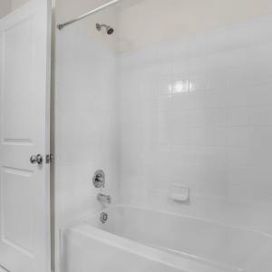 Photo #26 of 3177 AMIDSHIP DR, GREENBACKVILLE, VA 65.0 acres