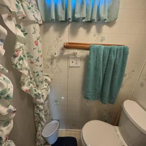 Photo #6 of 5372 MCCLEARY DR, CHINCOTEAGUE, VA 0.1 acres