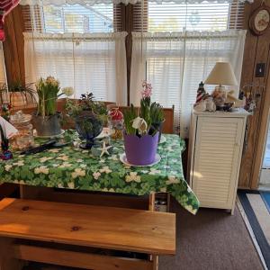 Photo #8 of 5372 MCCLEARY DR, CHINCOTEAGUE, VA 0.1 acres