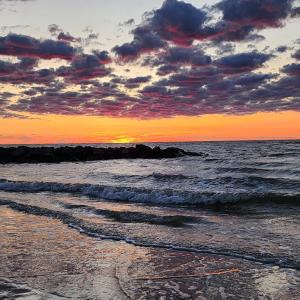 Photo #71 of 616 TAZEWELL AVE, CAPE CHARLES, VA 40.0 acres