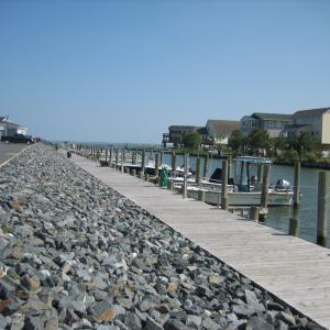 Photo #36 of LOT 1170 SALTY WAY, GREENBACKVILLE, VA 130.0 acres