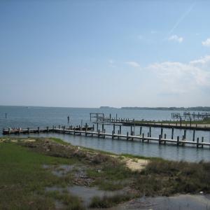 Photo #38 of LOT 1170 SALTY WAY, GREENBACKVILLE, VA 130.0 acres