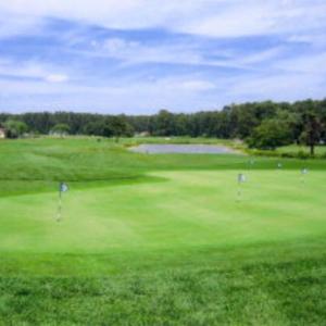 Photo #41 of LOT 1170 SALTY WAY, GREENBACKVILLE, VA 130.0 acres