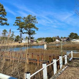 Photo #5 of 8061 MIRE POND ONE, CHINCOTEAGUE, VA 0.1 acres