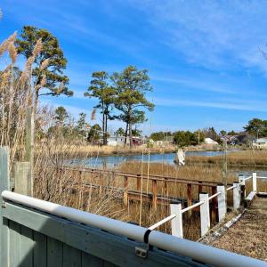 Photo #59 of 8061 MIRE POND ONE, CHINCOTEAGUE, VA 0.1 acres