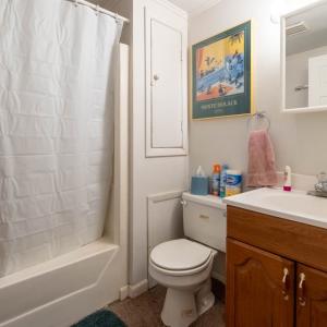 Photo #8 of 8429 DENWOOD RD, FRANKTOWN, VA 9.2 acres