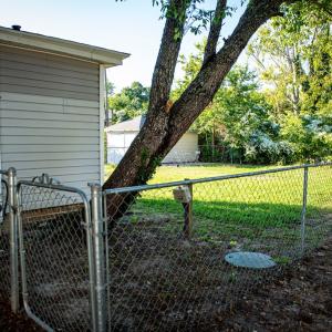 Photo #8 of 11573 WESTFIELD AVE, EXMORE, VA 0.2 acres