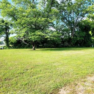 Photo #49 of 25487 LANKFORD HWY, CAPE CHARLES, VA 1.2 acres