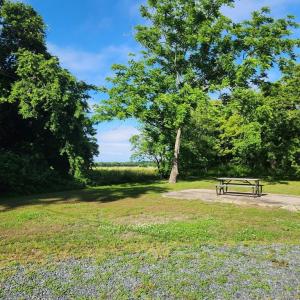 Photo #52 of 25487 LANKFORD HWY, CAPE CHARLES, VA 1.2 acres