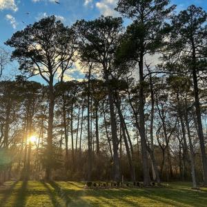 Photo #11 of 102 CREEKSIDE LN, CAPE CHARLES, VA 0.8 acres