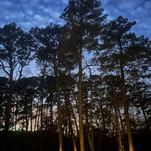 Photo #12 of 102 CREEKSIDE LN, CAPE CHARLES, VA 0.8 acres