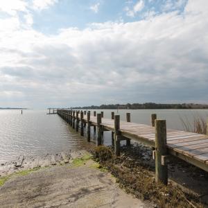Photo #10 of 18356 OLD CASTLE ROAD, CAPE CHARLES, VA 92.0 acres