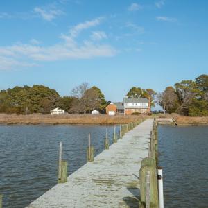Photo #12 of 18356 OLD CASTLE ROAD, CAPE CHARLES, VA 92.0 acres