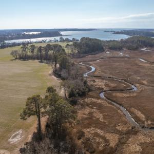 Photo #17 of 18356 OLD CASTLE ROAD, CAPE CHARLES, VA 92.0 acres