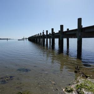 Photo #59 of 18356 OLD CASTLE ROAD, CAPE CHARLES, VA 92.0 acres