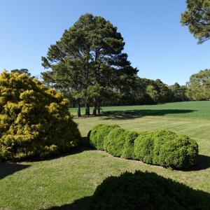 Photo #63 of 18356 OLD CASTLE ROAD, CAPE CHARLES, VA 92.0 acres