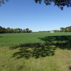 Photo #65 of 18356 OLD CASTLE ROAD, CAPE CHARLES, VA 92.0 acres