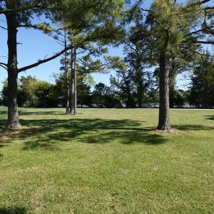 Photo #66 of 18356 OLD CASTLE ROAD, CAPE CHARLES, VA 92.0 acres