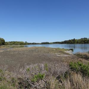 Photo #69 of 18356 OLD CASTLE ROAD, CAPE CHARLES, VA 92.0 acres