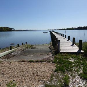 Photo #70 of 18356 OLD CASTLE ROAD, CAPE CHARLES, VA 92.0 acres