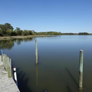 Photo #71 of 18356 OLD CASTLE ROAD, CAPE CHARLES, VA 92.0 acres