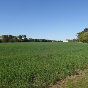 Photo #74 of 18356 OLD CASTLE ROAD, CAPE CHARLES, VA 92.0 acres
