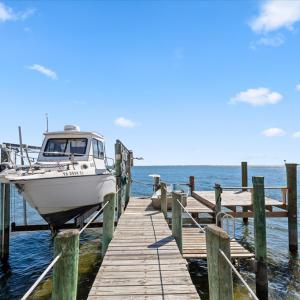 Fish and Crab in your own backyard!