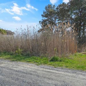 Photo #75 of 5148 TWILLEY DR, CHINCOTEAGUE, VA 0.4 acres