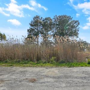 Photo #76 of 5148 TWILLEY DR, CHINCOTEAGUE, VA 0.4 acres