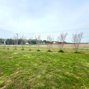 Photo #9 of 27212 CASTLE ROW, CAPE CHARLES, VA 0.5 acres