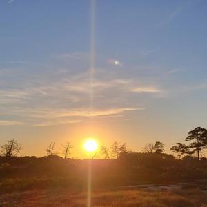 Sunrise