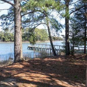 Yard looking to dock