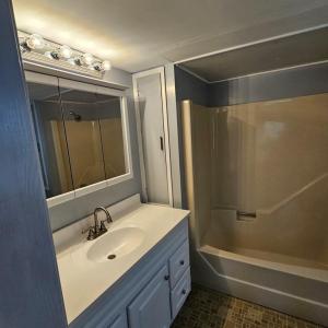 LOWER FULL BATHROOM-1