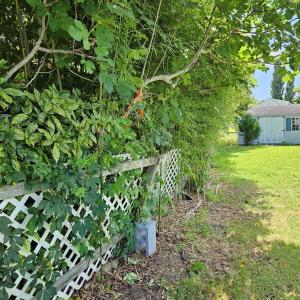 Photo #48 of 3482 MAIN ST, CHINCOTEAGUE, VA 0.2 acres